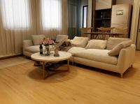 全方位识别抗菌木地板的秘籍,就在这里!