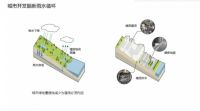 怡境：用景观设计打造海绵城市艺术美