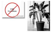 来瞧瞧装修污染中的这些“鬼”，你认识几只？