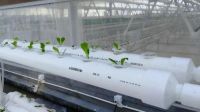 科技助阵农业种植，联塑休闲农业用实力宠居民