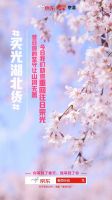 京东上线“买光湖北货”，呼唤元气满满的湖北早日回归！