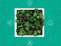 顾家猫与岸杉智能达成合作，携手打造绿色健康人居环境