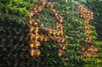 顾家猫与岸杉智能达成合作，携手打造绿色健康人居环境