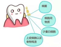 电动牙刷哪个牌子好？避免被坑新手应该这样选