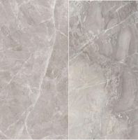 鹰牌陶瓷鲸MAX1200*2400mm大板瓷砖引爆潮流