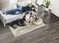 绿色未来，质领时代：世友“唯有灰”为家开启柔光滤镜