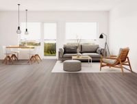 绿色未来，质领时代：世友“唯有灰”为家开启柔光滤镜