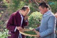 走进非遗茶文化探索顶级春茶储鲜奥秘 美的冷柜成储茶爆品