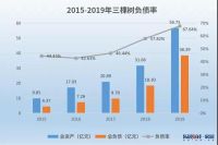 三棵树2019：营收同比增长66.64% 负债率连续五年攀升