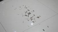 莱克立式无线吸尘器超省力，拯救家居清洁中叫苦不迭的你