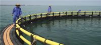联塑海洋养殖网箱系统助力“水上春耕”