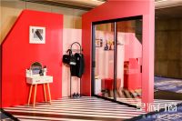 《别具一“隔”皇派门窗云发布会完美收官》