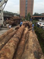 豪利集团杜延金：为原木赋予文化，让原木为文化传承