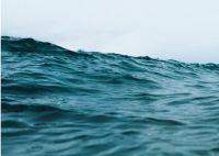 为什么社交电商是家居建材行业的革命风暴？