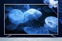 尽享大屏超级体验 国美美店迎来索尼、夏普超级品牌日