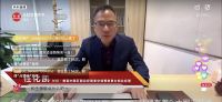长虹“熊猫懒”空调新品强势来袭 豪横宠粉狂送百万大礼包