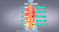 为什么说“背薄一寸，命长十年”，护背的好处是什么？