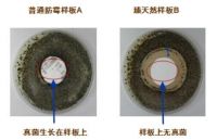 长颈鹿牌臻天然抗病毒无机矿物涂料强势出道！