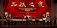代理商自主设计能力弱？这家墙板厂家的做法，助力其方案