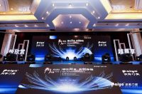 30年风雨兼程 派雅门窗开创中国高端定制铝门窗新篇章