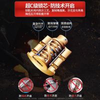 安全智能锁须知 | 你家用的智能锁是什么锁芯