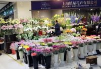 上海最大的花卉零售集市古北花世界备足货源迎“五一”