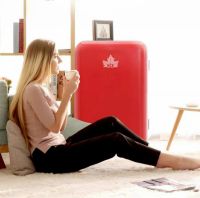 崇尚自由的单身主义！HCK哈士奇给你更精致的生活