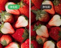 母亲节送礼就送它！净食除菌的法格果蔬清洗机