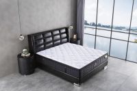 “金时代·新未来”美国金斯当床垫梅宾1904系列震撼发布！