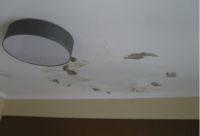 建筑防水修缮迎来黄金时代，莫艺修缮家开辟修缮新局面