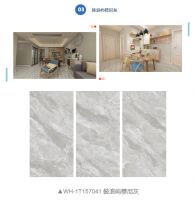 威廉顿陶瓷丨750×1500mm新品大板上市，开启家与自然的对