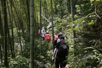 Liberlife丽联家具团建之旅：从化到星溪，凝心聚力再出发