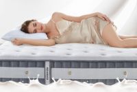 618必入手的芝华仕爆款产品推荐