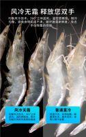苏宁小Biu 520L对开门冰箱大有可为 新品尝鲜价2299元
