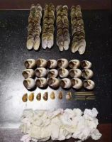 小龙虾价格暴跌！敞开肚皮的吃货们别忘了还有垃圾分类等