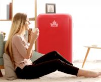 复古家电为何如此受捧？HCK哈士奇复古冰箱大揭秘！