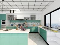 老板电器中国新厨房设计大赛三等奖获得者——段昱菲