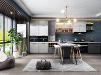 老板电器中国新厨房设计大赛三等奖获得者——华迪