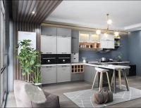 老板电器中国新厨房设计大赛三等奖获得者——华迪