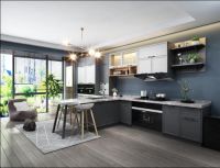 老板电器中国新厨房设计大赛三等奖获得者——华迪