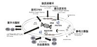 盛夏将至，新冠阴影下中央空调何去何从？