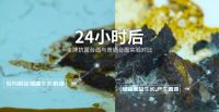 中科院朱美芳院士：中国人的衣食住行将快速步入抗菌时代