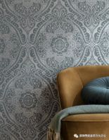 2020年新品发布 ▏Solène 索莱娜