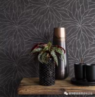 2020年新品发布 ▏Solène 索莱娜