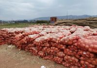 精准扶贫，泰木谷“富村计划”助力元谋县农户稳定增收