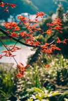 翼天文旅集团【梦里老家·桃花源】山水相伴