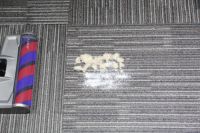 家务清洁少烦恼，吉米上手把吸尘器轻松清洁让你无负重