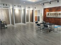 范西客木地板长沙市（望城）店盛装开业