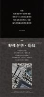 伊伊布舍|遇见摩登时代