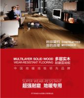 专访：山东圣地亚地板——全新多层耐磨面地板震撼上市